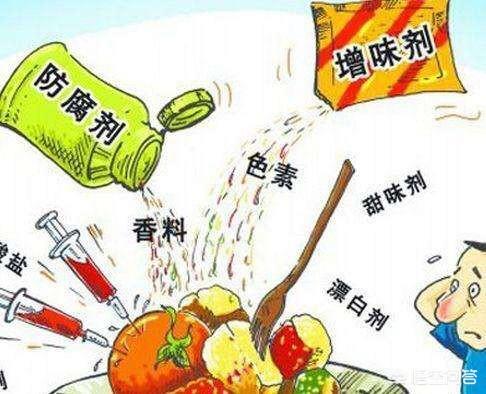 pettime天然犬粮:铲屎官应该如何选择国产狗粮？