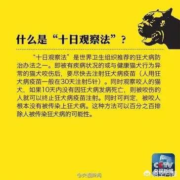 日本狂犬病发病率:狂犬病十日观察法靠谱吗？