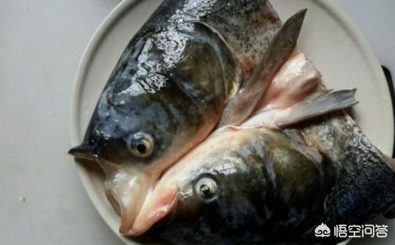 哪些鱼含有甲醛和重金属，鱼头真的含有重金属吗鱼头营养价值高还是鱼身