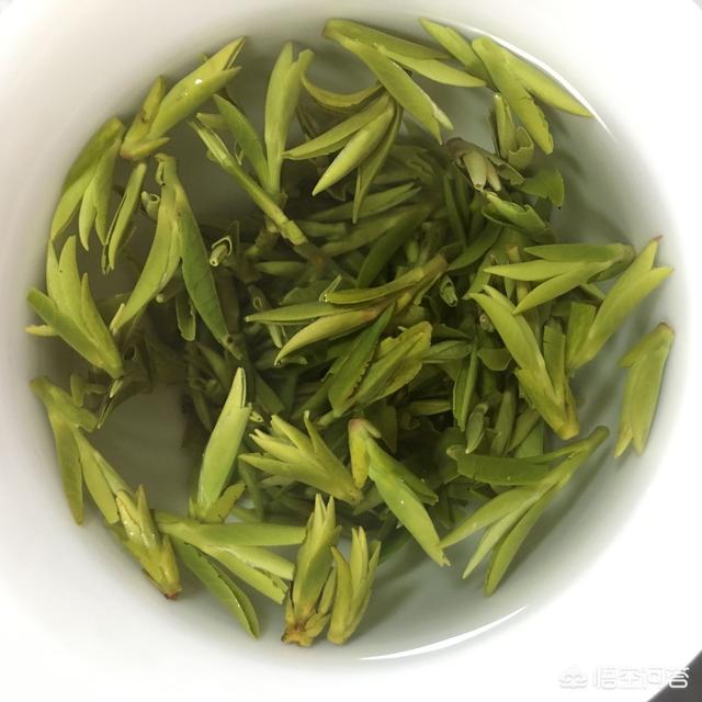关于“春茶”,你了解多少？