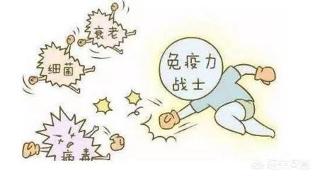 除了运动,还可以通过吃什么食物来帮助提高身体免疫力？