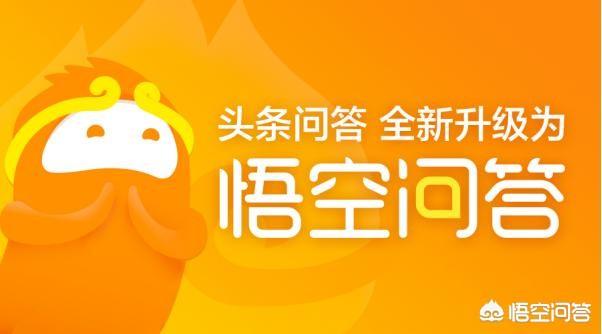 宠必达app:有什么好的手机移动办公软件可以推荐？