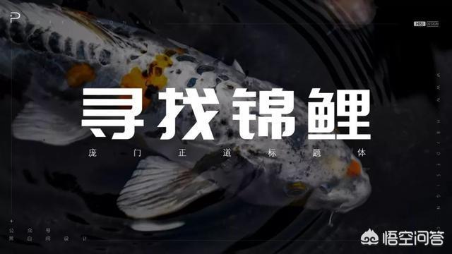 微信小程序需要什么语言开发