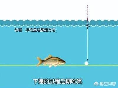 亚峰水族箱专用药片:应该怎样分别应对鱼儿上浮的不同情况？