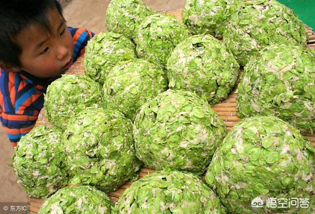 春天吃什么食物最有利于健康?