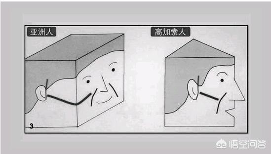 刘烨的老婆资料:为什么白人会给人一种老得快的感觉？