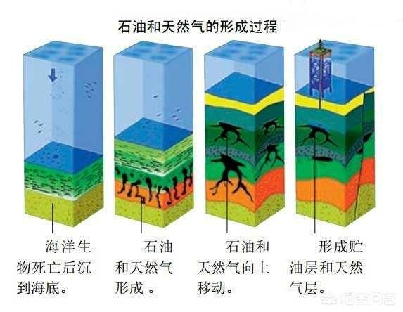 怎么又是你老红军(怎么又是你老红军微盘)