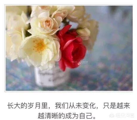 在一段感情中该如何做到“释怀”？