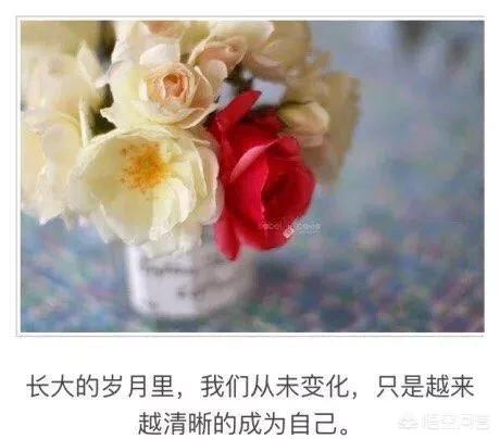 在一段感情中该如何做到“释怀”？