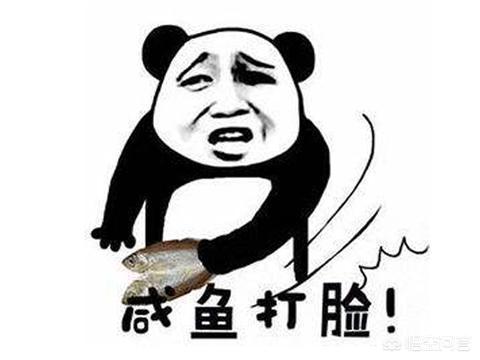 刘万鑫:哪些游戏主播，曾经声称绝不跳槽，最后纷纷背叛平台被索赔？