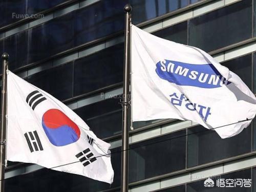 三星为何大到不能倒？插图2