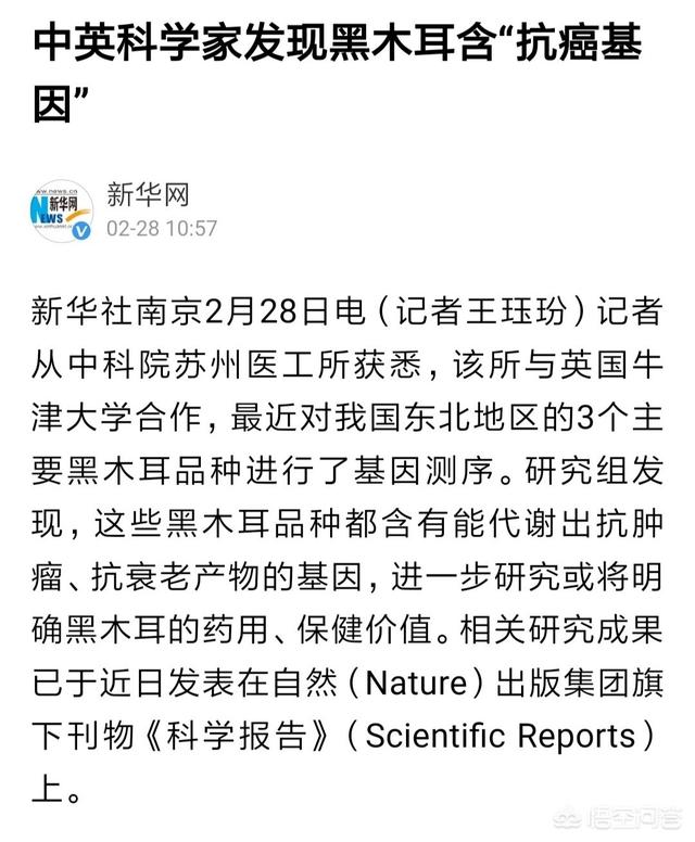 木耳可以壮阳吗，韭莱绿豆芽可以补肾是真的吗