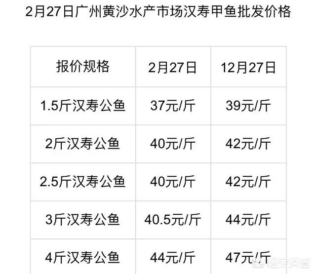 石龟养殖前景:养殖甲鱼有市场前景吗？当前，市场价格行情如何？