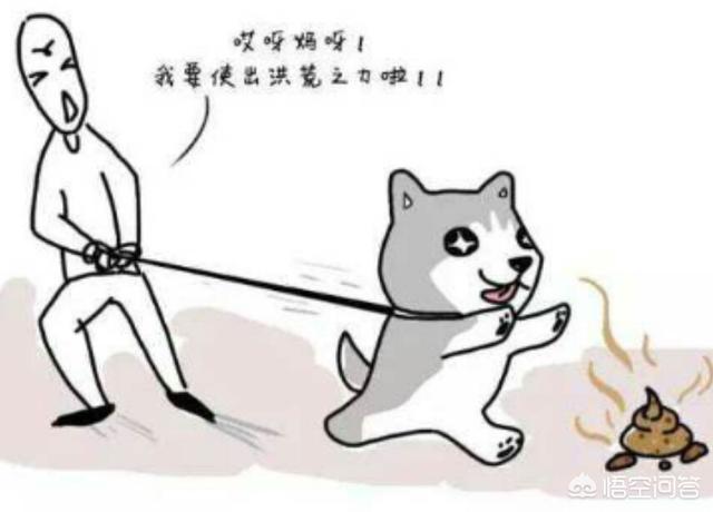 你能原谅一个在你面前对你好,在你背后捅刀子的人吗?-百科网