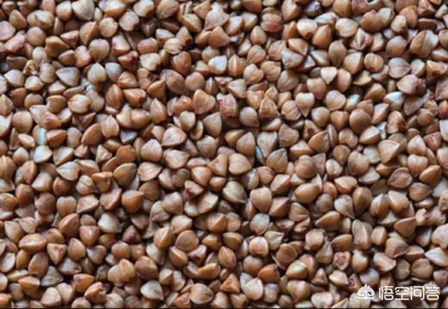 苦荞麦怎么吃,荞麦和苦荞有什么区别