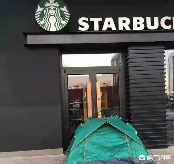 茶杯猫图片:人类为了好看培育出了哪些畸形猫？