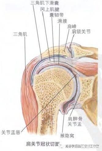 空腹运动有优点么，早上起床后，空腹锻炼俯卧撑有什么好处和坏处？