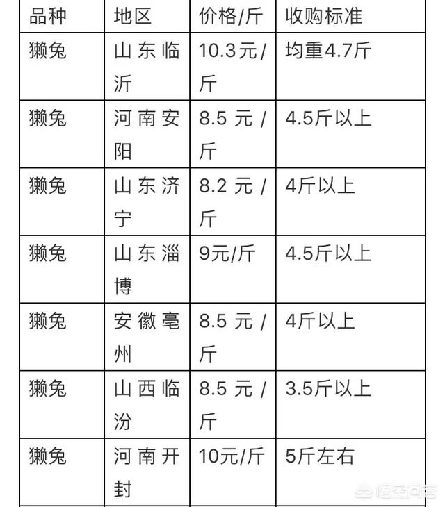今年养兔子行业怎么样？