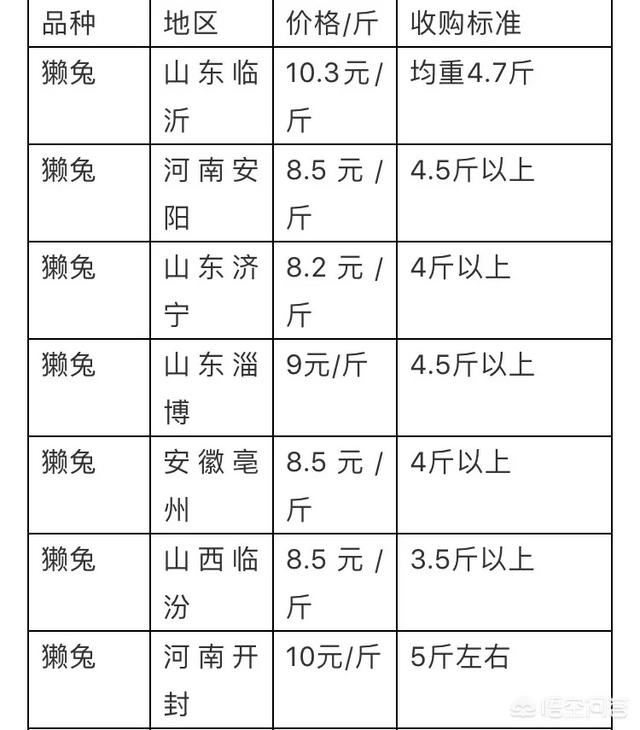 今年养兔子行业怎么样？