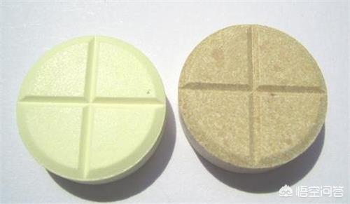 狗狗眼屎多臭:泰迪狗狗拉稀发黑很臭?泰迪拉稀怎么办？泰迪拉稀还臭颜色发黑？