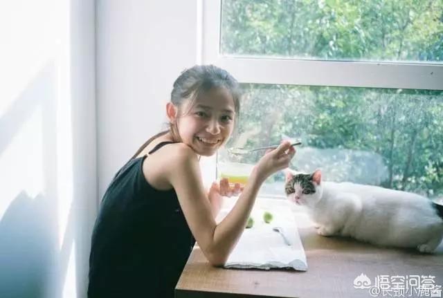无锡 宠物摄影:怎样才能给宠物拍出美美的照片？ 无锡宠物摄影工作室