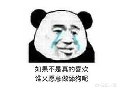 可爱狗狗小游戏:你都知道游戏里有哪些“舔狗”角色？ 狗狗小游戏