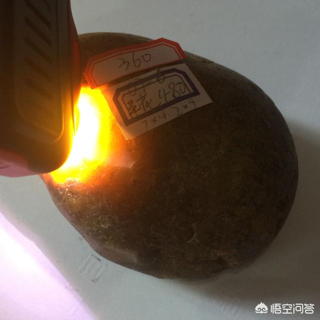 新疆百灵鸟论坛:我要外出旅游，怎么解决钱的问题，边工作边旅游那种？ 新疆农业大学