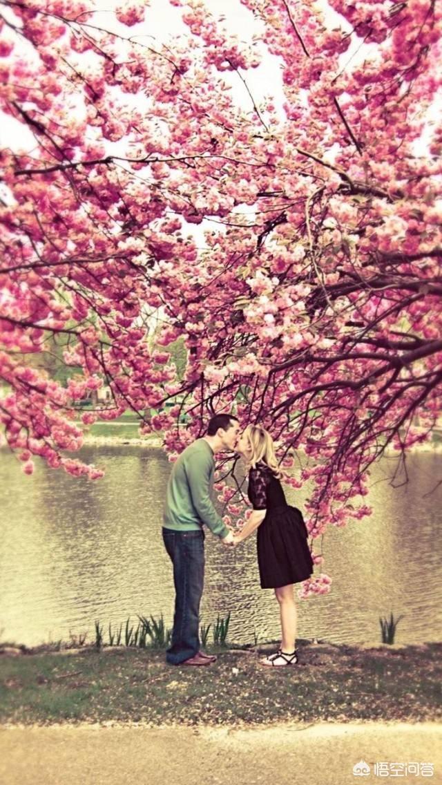 樱花季到了，愿意带着自己的一生挚爱，去领略