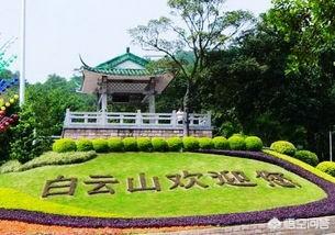 关于翠鸟的图片:你用过的性价比最高的镜头是哪只，用它出过什么作品？