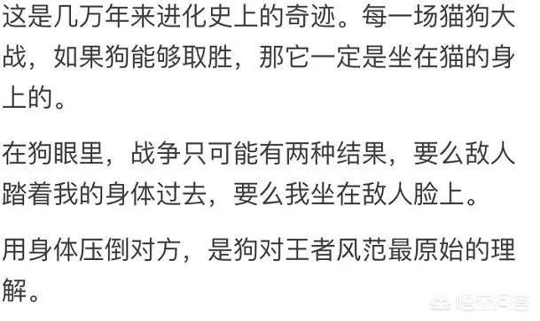 狗狗博客里的狗:为什么狗子都喜欢“坐”别狗、别猫、别人呢？