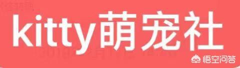 加菲猫发腮是什么意思？熟牛肉可以发腮吗？