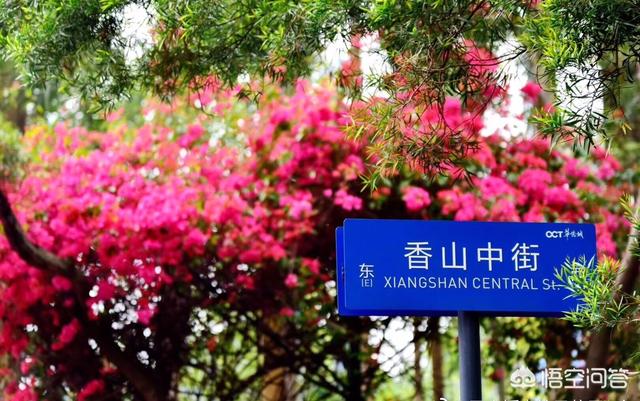 深圳圣伯纳吧:在深圳买了一套小产权房，可又提心吊胆的，怎么办？