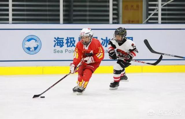 我做母狗的经历私奴:自己想做生意投资7到8万能做些什么，一天纯赚300元以上？