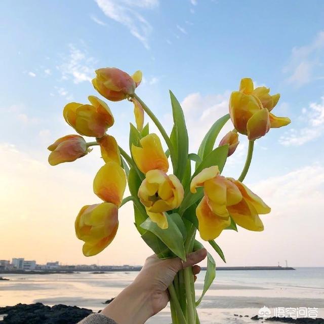 晚上发朋友圈的好句子:有没有适合半夜三更发朋友圈的心情说说？(深夜发朋友圈说说心情)