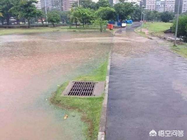 博来恩和海乐妙能同时使用吗:家里猫下小猫家里很多跳蚤，杀了又有，杀了又有，咋办？