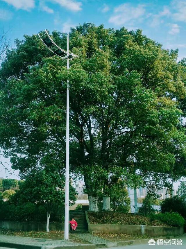 八字难学还是风水难学,都说《易经》很难学，它究竟难在哪里？