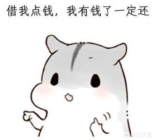 吕不韦是成功者,还是失败者？
