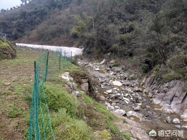 创业新思路，家具行业创业有哪些新思路，如何结合线上线下操作，打造合理利润