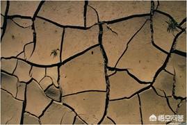 翡翠怎样鉴别a还是b货,翡翠传说中的a+b高仿料怎么肉眼鉴别？