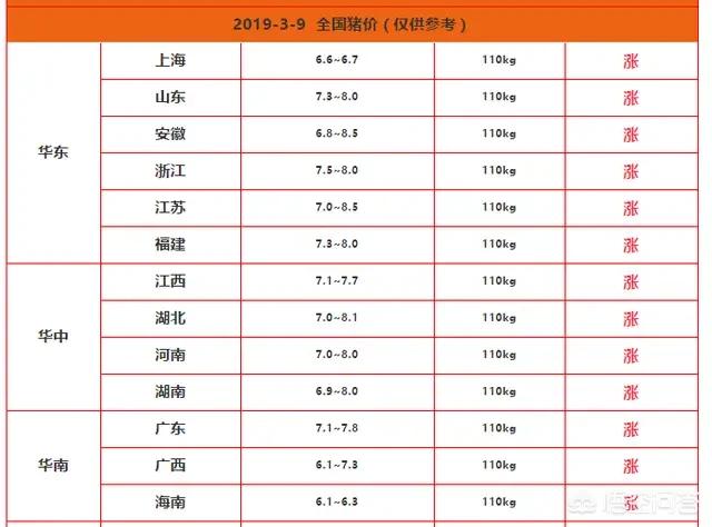 济南东大宠物兔养殖场:广西3172头规模猪场又发疫情，猪瘟为何屡破大猪场防线？