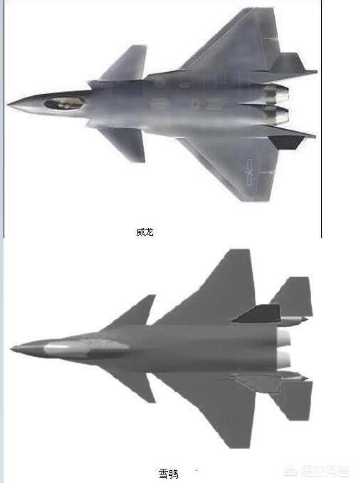 歼14雪鸮战斗机的数字化程度也没有歼20高,新技术的运用也不如歼20