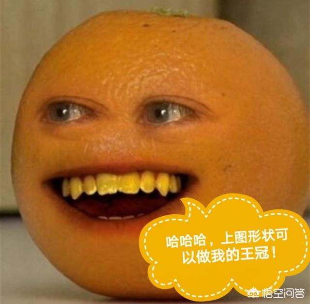 博来恩和海乐妙能同时使用吗:家里猫下小猫家里很多跳蚤，杀了又有，杀了又有，咋办？