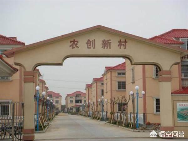 猫狗大战2国语版奇艺:农村俗语“农村人住了楼，好日子到了头”，真的有道理吗？