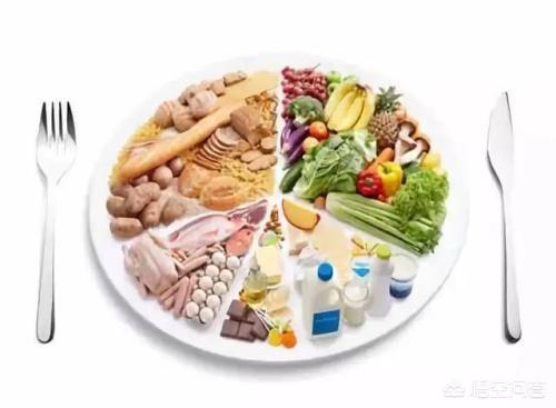 张天爱个人资料图片:减肥的时候肚子饿了，吃什么最好