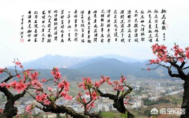 唐伯虎的诗:唐伯虎的绝笔诗全诗是什么？