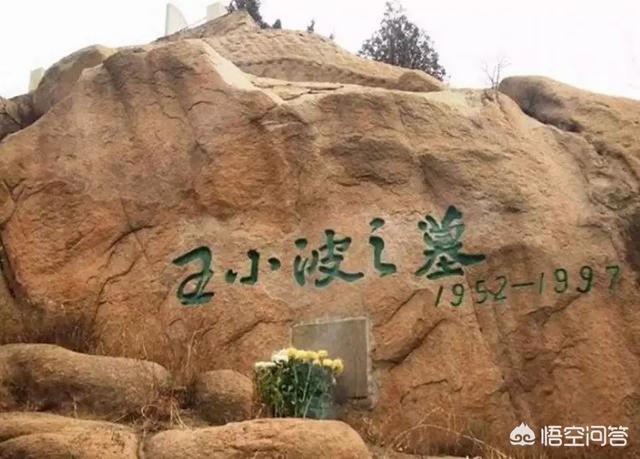 李银河是谁:王小波到底是什么样的一个人？