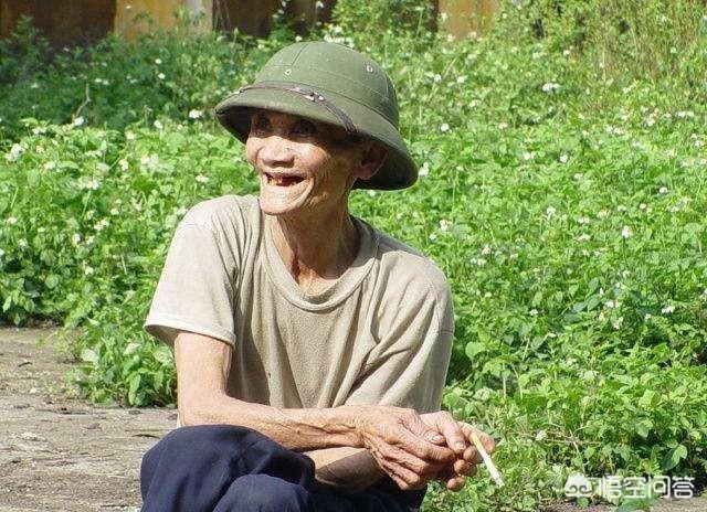 中国狸花猫在国外受欢迎吗:为什么中国人在国外旅游的时候喜欢吃泡面？