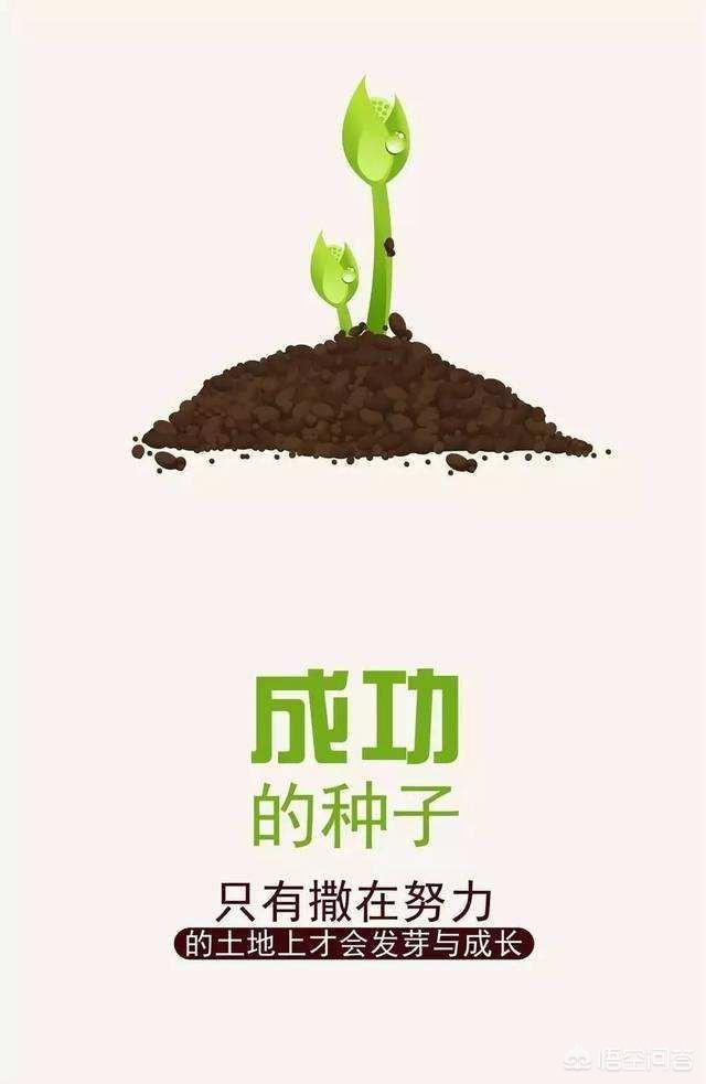 现在非常流行的一个词叫“走心”,你们是怎么理解的？