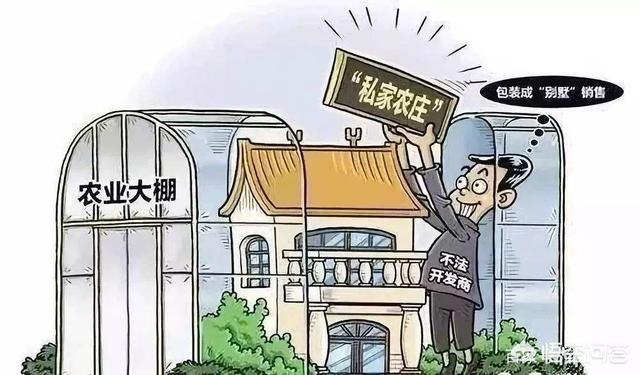 农业范畴内哪些“大棚房”问题必须彻底整治？大棚看护房指什么？