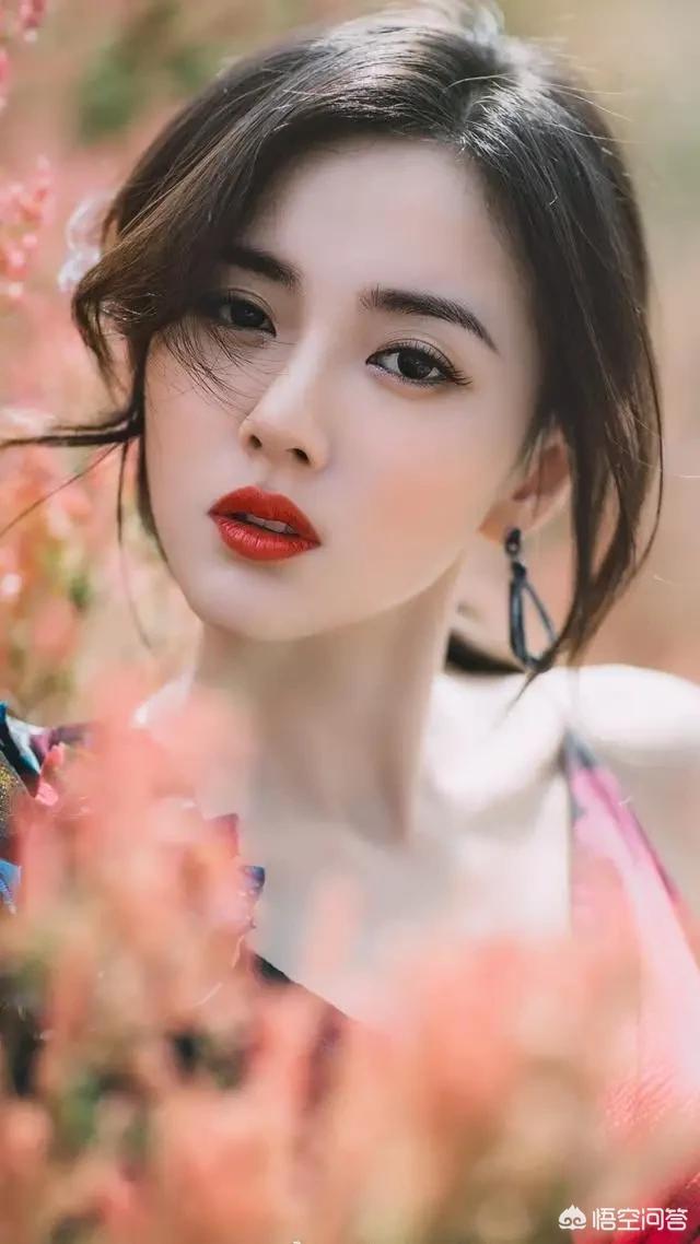 斯芬克斯猫价格:猫总掉毛，吃点什么比较好？